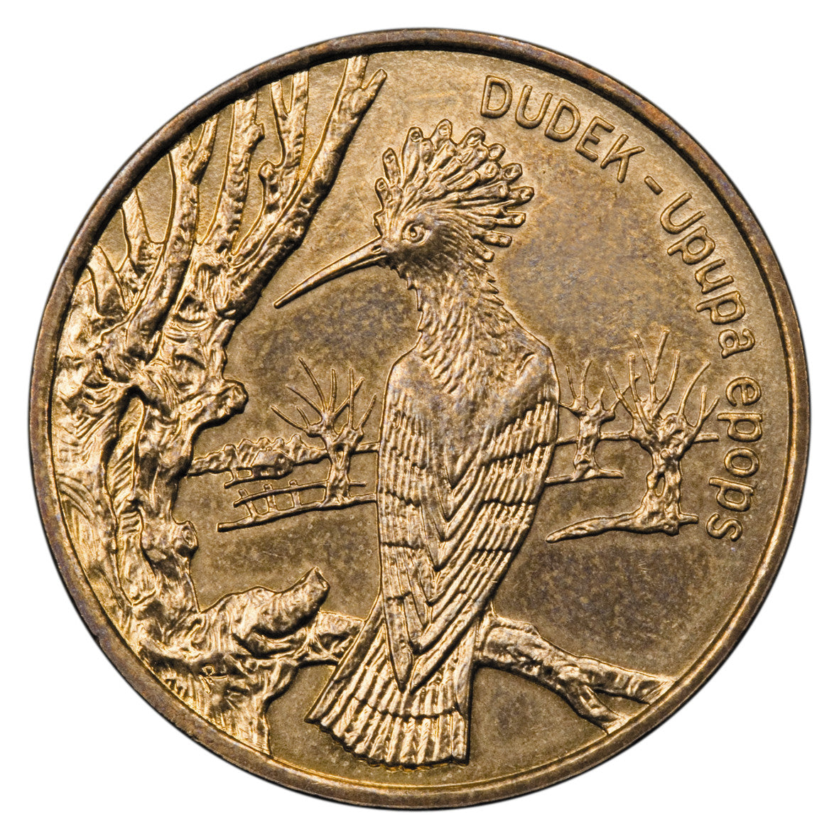2 zł 2000 - Zwierzęta świata - Dudek (łac. Upupa epops)