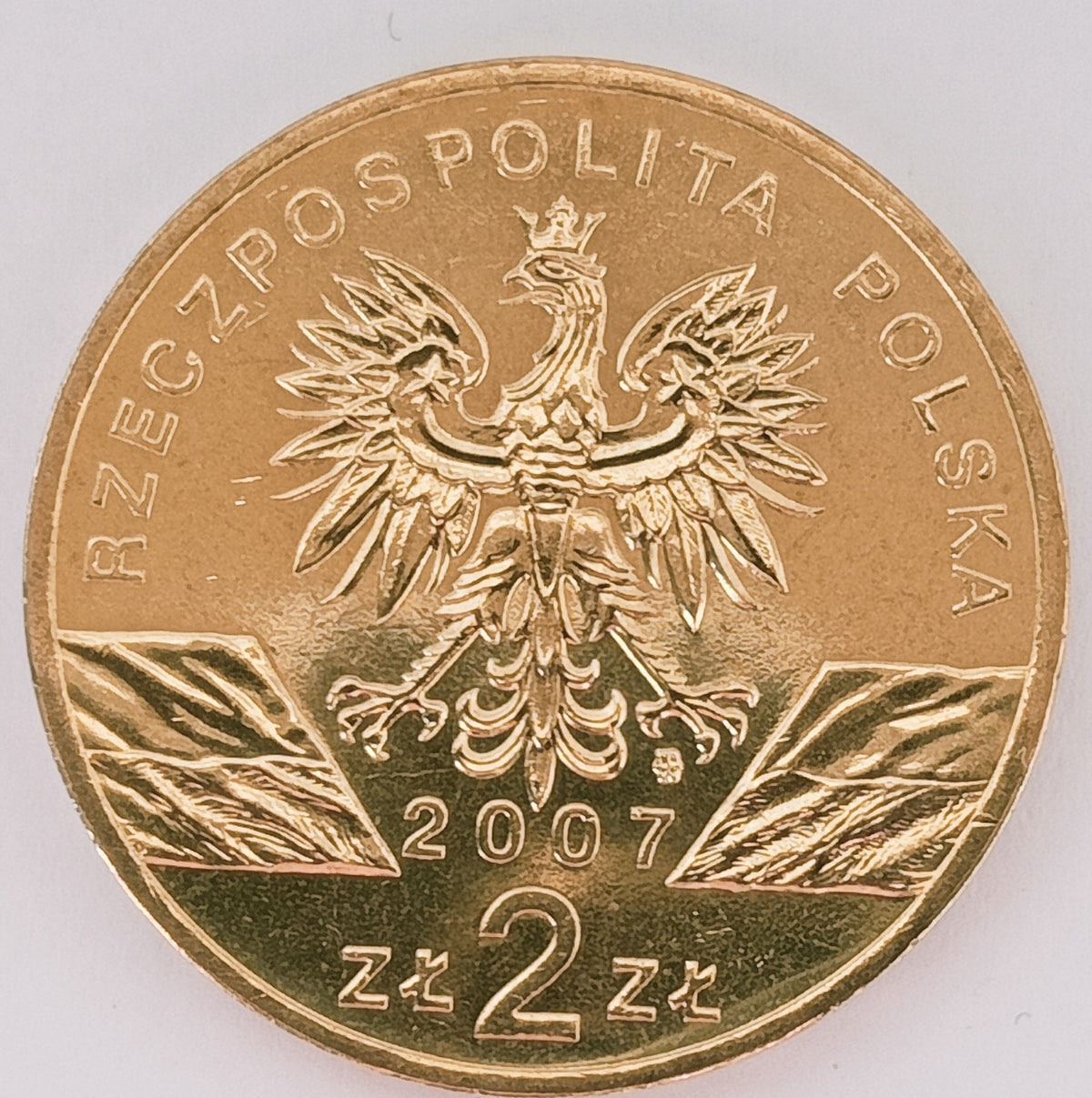 2 zł 2007 - Zwierzęta świata: Foka szara (łac. Halichoerus grypus)