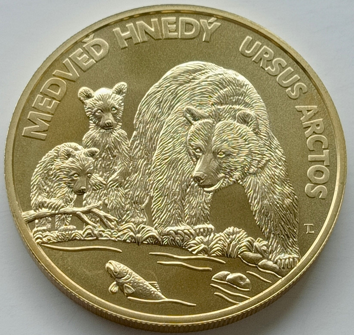 Słowacja 5 euro 2023 Niedźwiedź brunatny
