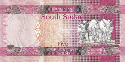 Sudan Południowy 5 Funtów 2011 - UNC