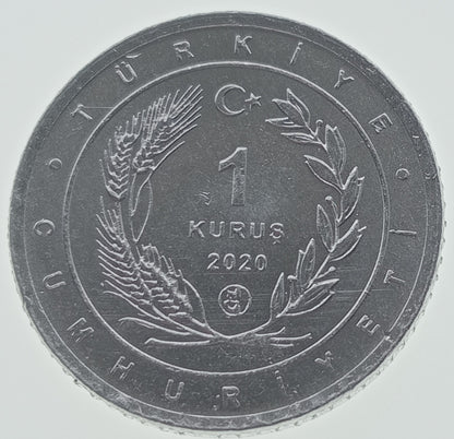 Turcja 1 Kurusz 2020 Wężówka afrykańska